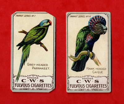 BIRDS ~ CWS Fulvous cigarettes Parrot Series card No's 7 and 14 1910 - Image 1 of 2