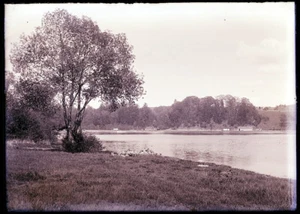 ANTIQUE GLASS NEGATIVE, M. B. C. ROWING CLUB, LAKE QUINSIGAMOND, LAKE SCENE - Picture 1 of 1