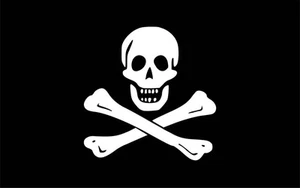 SET 6 ADESIVI BANDIERA NERA JOLLY ROGER BLACK FLAG STICKERS PIRATI VINILE VINYL - Imagen 1 de 1