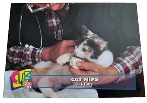 1993 Club Pro Set Cat Nips #15 Cat Care Trading Card (G9 - Picture 1 of 2