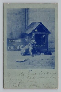 Postcard Man Sleeping in Dog House Beware of the Dog c1909 - Picture 1 of 2