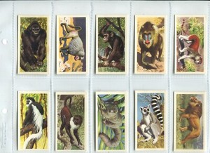 African Wild Life 1962 Brooke Bond Tea Cards - Full Set of 50 Cards