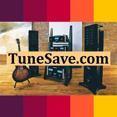 TuneSave .com / Subasta de dominio / Marca comercial de música, nombre de sitio web / Porkbun Foto 1 de 2