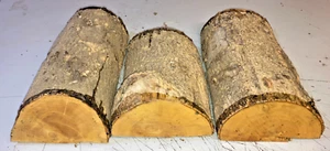 PEZZI TRONCHI LOTTO 3 PEZZI 339A LEGNO DI BOSSO TORNITURA LEGNO VUOTO - Foto 1 di 1