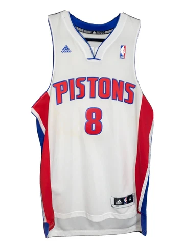Ben Gordon Signed Detroit Pistons Basketball Jersey Medium Cover