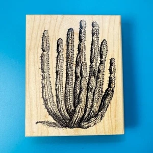 Saguaro Cactus~Arizona~Southwest~Rubber Stamp~ 3.5"X 4.5"~Copper Leaf Creations - Picture 1 of 7
