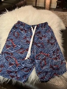 Boys Shorts 4 Mullberribush Euc - Picture 1 of 2