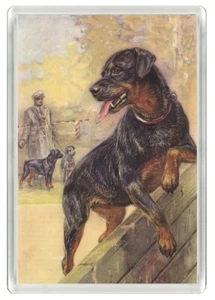 ROTTWEILER DOG ART PRINT ACRYLIC NOVELTY FRIDGE MAGNET GREAT GIFT - Foto 1 di 1