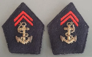 Pattes de Col brodées or Indochine Parachutiste Troupes Coloniales RPC BCCP RIC - Imagen 1 de 2