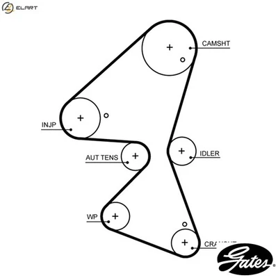 TIMING BELT 5705XS FOR PEUGEOT PARTNER/Box/Body/MPV 2008/II/Van EXPERT/Bus  DS - Image 1 of 4