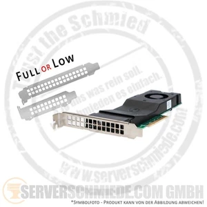Dell Internal SSD Adapter DPWC300 2x M.2 2280 NVMe PCIe 3.0 x4 023PX6 0NTRCY - Bild 1 von 6