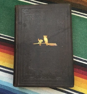 Washington Irving ~ Salmagundi ~ 1860 ~ Antique Decorative Book - Imagen 1 de 10