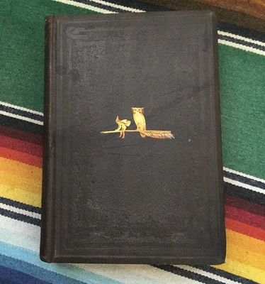 Washington Irving ~ Salmagundi ~ 1860 ~ Antique Decorative Book Foto 1 de 4