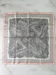 HERMES Carré 55 Le Jardin de la Maharani Bandana 043998S 02 Schal Seide Damen - Bild 1 von 9