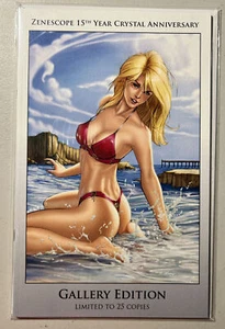 Salem's Daughter Haunting #5 Gallery Edition 15th Anniversary Zenescope - Picture 1 of 5