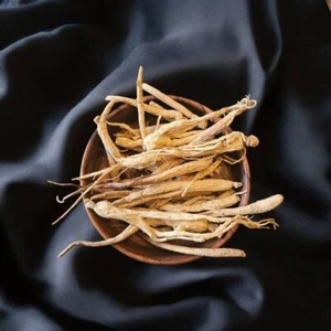 Weißer Ginseng - جنسنغ أبيض - Bild 1 von 5