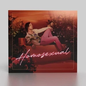 Homosexual Darren Hayes (Powdered Sugar Productions Ltd) Vinyl 12" lp - Picture 1 of 1