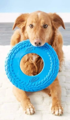 Nerf Dog Rubber Tire Flyer Toy 10" Frisbee Lightweight Durable Floats M / L Dog  - Image 1 of 4