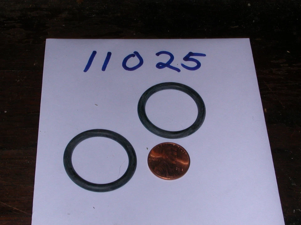 Lote de 2 juntas tóricas Snapper parte #11025, nuevo stock antiguo Foto 1 de 1