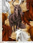 Horse Horses Bk Stallion C7776 Timeless Treasures Cotton Fabric 77 IN BOLT END