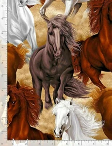 Horse Horses Bk Stallion C7776 Timeless Treasures Cotton Fabric 77 IN BOLT END - Picture 1 of 1