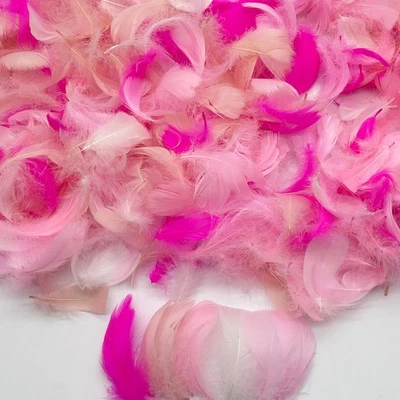 500PCS Small Craft Feathers Pink White Assorted Colors Bulk 2-3Inch Soft Goos... - Image 1 of 4