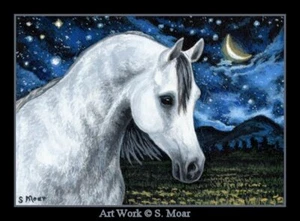Dappled Gray Arabian Horse Stars Moon ACEO Limited Edition miniature Art Print - Picture 1 of 1