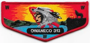 S21 Owaneco Lodge 313 Boy Scouts of America BSA - Picture 1 of 1