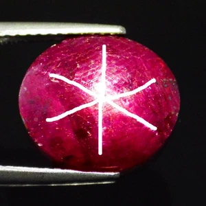 14.86 Cts ESTEEMED OVAL (13 x 11 mm) 100% NATURAL MOZAMBIQUE RED STAR RUBY GEMS - Bild 1 von 7