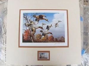 1986 Ducks Umlimited Duck Print w/stamp Double Matted Signed #DUBC0 DSS - Picture 1 of 2