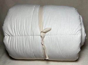 Pottery Barn SleepSafe® Down Alternative Duvet Insert Twin Heavyweight - Picture 1 of 4