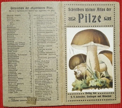 C2141-GUIDA-OPUSCOLO FUNGHI, PILZE, ATLANTE TEDESCO PRIMI DEL'900 - Immagine 1 di 2