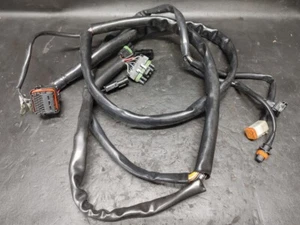 Sea Doo GSX Ltd Rotax 951 947 Main Rear Engine Wiring Harness Wire Loom 1999 - Imagen 1 de 4