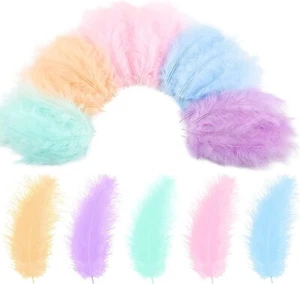 ELECDON 300 Pcs Colorful Feathers for Craft DIY, Assorted Native Feathers Crafts - Picture 1 of 7