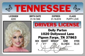 Dolly Parton DOLLYWOOD Tennessee Novelty Drivers License ID Card ***ON SALE*** - Picture 1 of 1