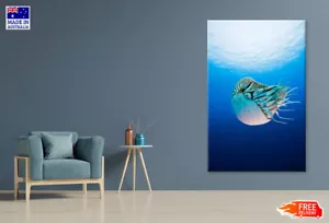 Impresión en lienzo de la Gran Barrera de Coral de Australia Nautilus Pompilio decoración del hogar sin marco - Imagen 1 de 5