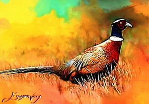 Tarjeta coleccionable de letrero de artista limitada #19/50 creada a medida de faisán con cuello anillado - Imagen 1 de 2