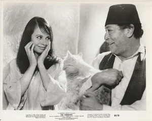 Original Foto 1963 Die Zeremonie Sarah Miles # 30 - Bild 1 von 3