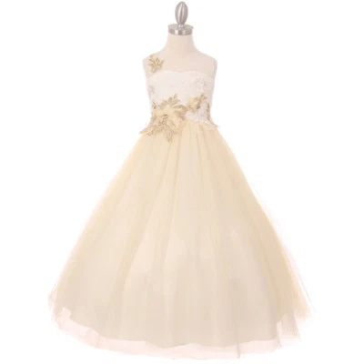 CHAMPAGNE Vestido de Niña Bordado Flor Cumpleaños Formal Concurso Boda Fiesta Foto 1 de 4