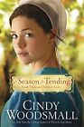 Season for Tending A PB: Book One in the Amish Vines and O... by WOODSMALL CINDY
