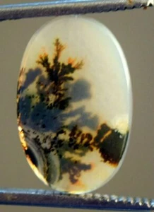 23.10*15.10 mm Natural DendriticAgate Unique Piece Certified Gemstone - Picture 1 of 4