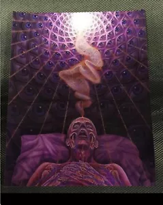 DYING MAN art print design 8x10 photo Alex grey tool - Picture 1 of 1
