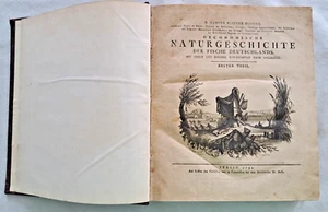 M. E. Bloch Oeconomische Naturgeschichte der Fische Deutschlands 1782-1784 - Bild 1 von 6