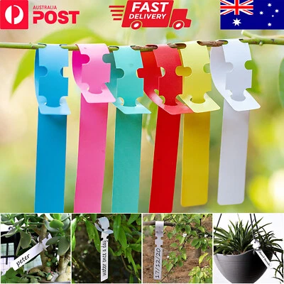100PCS Plastic Plant Tree Hanging Markers Tags Nursery Seed Gardening Labels - image 1 of 4