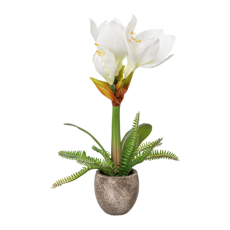 Kunstpflanze Amaryllis, Farbe weiß, inkl. Zement-Topf, Höhe ca. 35 cm - Bild 1 von 1