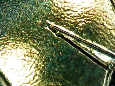 Presidential Dollar Error 2010 P Millard Fillmore Die Chip - Image 1 of 4