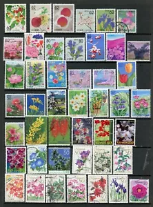 FIORI e FRUTTA, / 24-8-1q / usato - Foto 1 di 1