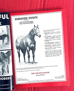 1982 QUARTER HORSE Journal - SMOOTH TOWN - CLARK'S DOC BAR - PARKER'S D BAR - Foto 1 di 24