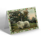 CHRISTMAS CARD Vintage Scotland - Highland Rams