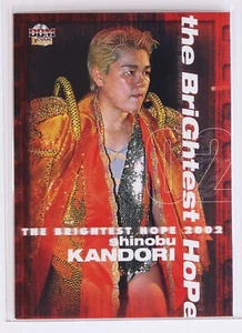 SHINOBU KANDORI (hope) - 2002 Limited BBM Women's Pro-Wrestling Trading Card - Picture 1 of 3